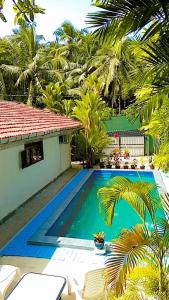 The Comfortable Coconut House