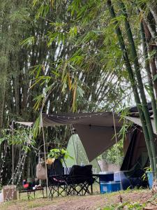 Camping River View