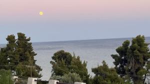 kaloutsikos sea view house
