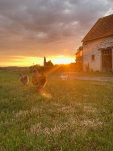 B&B / Chambres d'hotes chambres d'hotes Domaine les Grands Perons : photos des chambres