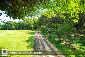 Camellia Resort And Spa Sigiriya - Sri Lanka