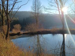 Chalets Nature Chalet in Abbevillers : photos des chambres