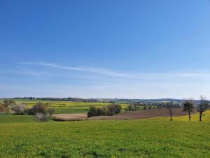 Chalets Nature Chalet in Abbevillers : photos des chambres