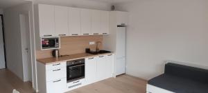 ZWIRN 1 izbovy apartman