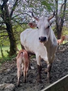 Agriturismo Cascina Dolomiti