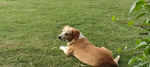 Casa Quinta San Miguel del Monte