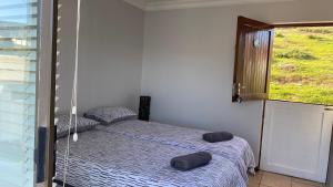 Little Anchor - Bachelor Flat