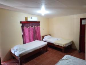 Backpackers Corcovado Tours