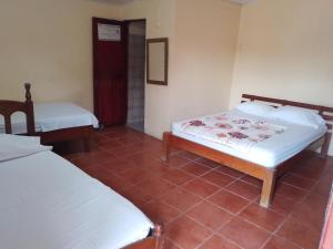 Backpackers Corcovado Tours