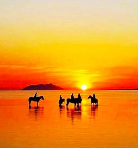 Sunrise Stagnone - Sicily Kite Rooms