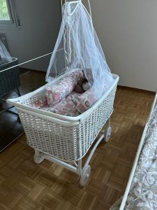 Appartamento Stadio free bike