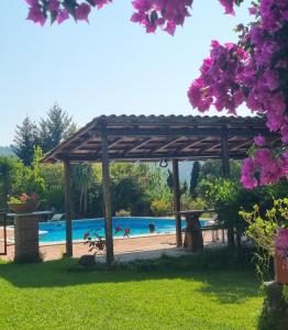 IL CARNASCIALE PIEVE di CAMAIORE -Bouganville-