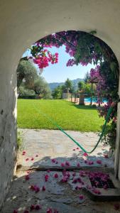 IL CARNASCIALE PIEVE di CAMAIORE -Bouganville-