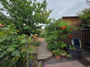 Maisons de vacances Studio bois avec terrasse et jardin bassin et ocean : photos des chambres