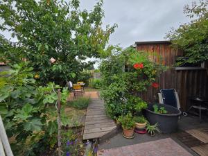 Maisons de vacances Studio bois avec terrasse et jardin bassin et ocean : photos des chambres