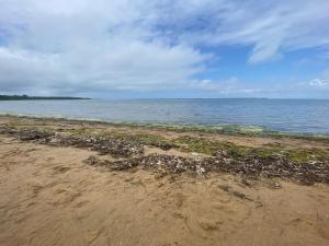 Maisons de vacances La Boheme Atlantique, proche du Port : Maison 3 Chambres