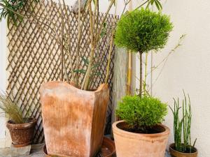 Maisons de vacances La Boheme Atlantique, proche du Port : photos des chambres