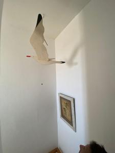 Maisons de vacances La Boheme Atlantique, proche du Port : photos des chambres