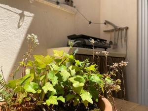 Maisons de vacances La Boheme Atlantique, proche du Port : photos des chambres