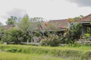 Sunset Villas Bungalow Ubud