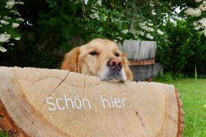 EifelBleibe, Ferienwohnungen