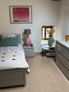 Maisons de vacances Gite du mas du Belbuis : photos des chambres