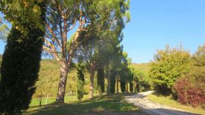 Holiday home in Montieri - Toskana 34273