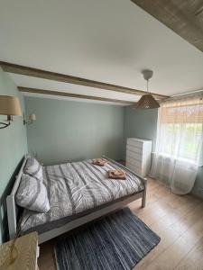 Dzintarielas Miera Osta