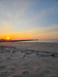 Dzintarielas Miera Osta