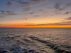 Maisons de vacances Le bestiaire : photos des chambres