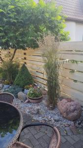 Poilsis pas Virginiją