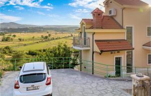 Awesome Home In Mirlovic Polje