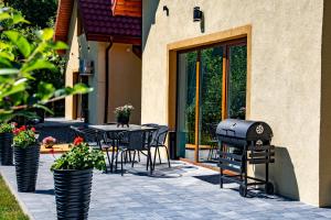 Dom w Karkonoszach 2