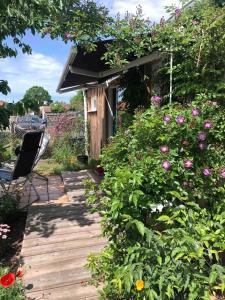 Maisons de vacances Deux studios bois terrasse jardin bassin et ocean : photos des chambres