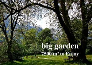 Spiele- und Buchhotel Tschitscher