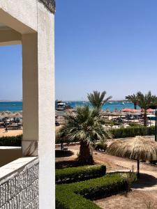 Hurghada Studios