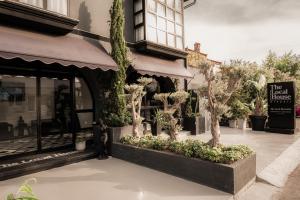 The Local House Alaçatı