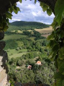 Maisons de vacances Nid sous le volcan - Maison avec jardins : photos des chambres