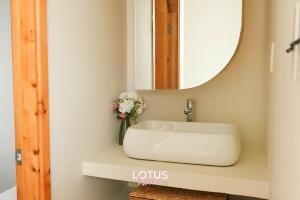 Lotus Home Quảng Ngãi