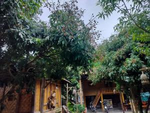 Quốc Cảnh Homestay