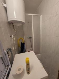 Apartment Borna Pag