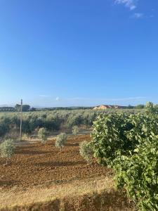 Appartamento Villa Caprareccia