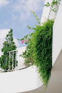 Lotus Home Quảng Ngãi