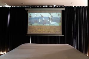 Bateaux L'Escale Royale Saint-Fargeau-Ponthierry - Seine - Melun : photos des chambres
