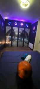 B&B / Chambres d'hotes La Moustache Bleue : photos des chambres