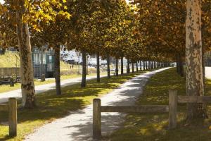 Maisons de vacances Houat : photos des chambres