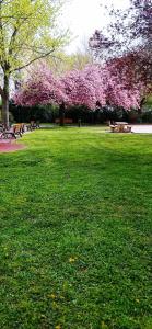 Appartements Spacieux Duplex a Villeurbanne 6 Pers Tout Comfort : photos des chambres