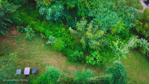 OSHO Villa Guest House