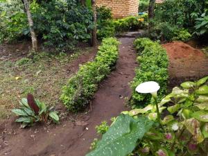 Magamba eco-cultural tourism Farm Stay & Campsite