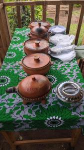 Magamba eco-cultural tourism Farm Stay & Campsite